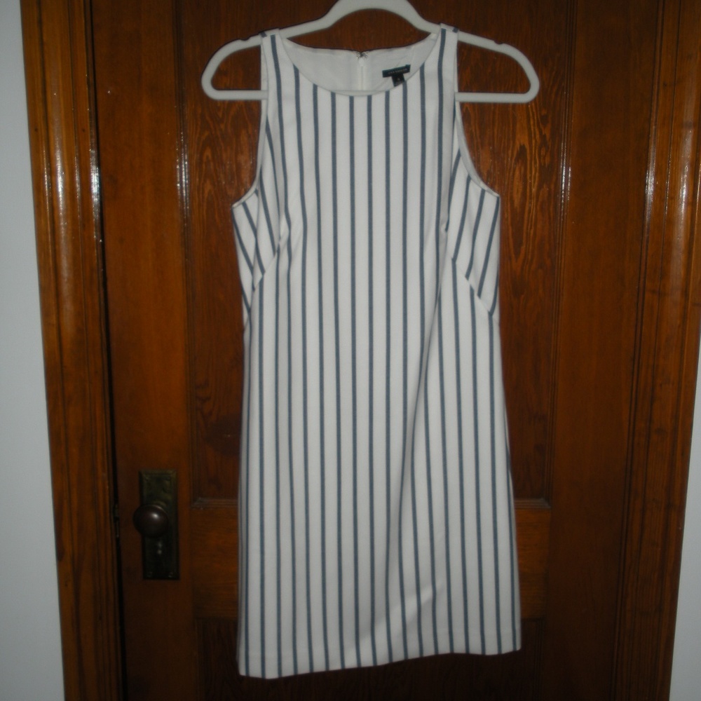 Ann Taylor Ivory with Navy Stripes Dress